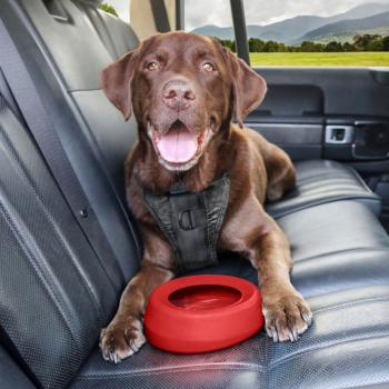 Kurgo Splash Free Wander Water Bowl Chili Red